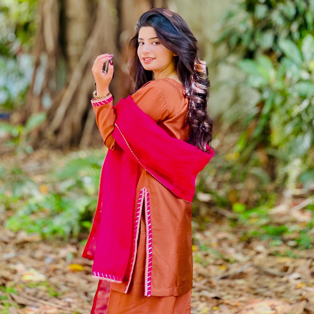 3-piece Embroidered Brown Raw Silk Dress