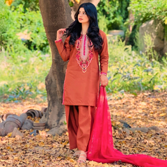 3-piece Embroidered Brown Raw Silk Dress