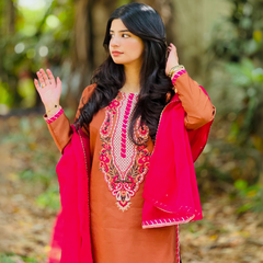 3-piece Embroidered Brown Raw Silk Dress