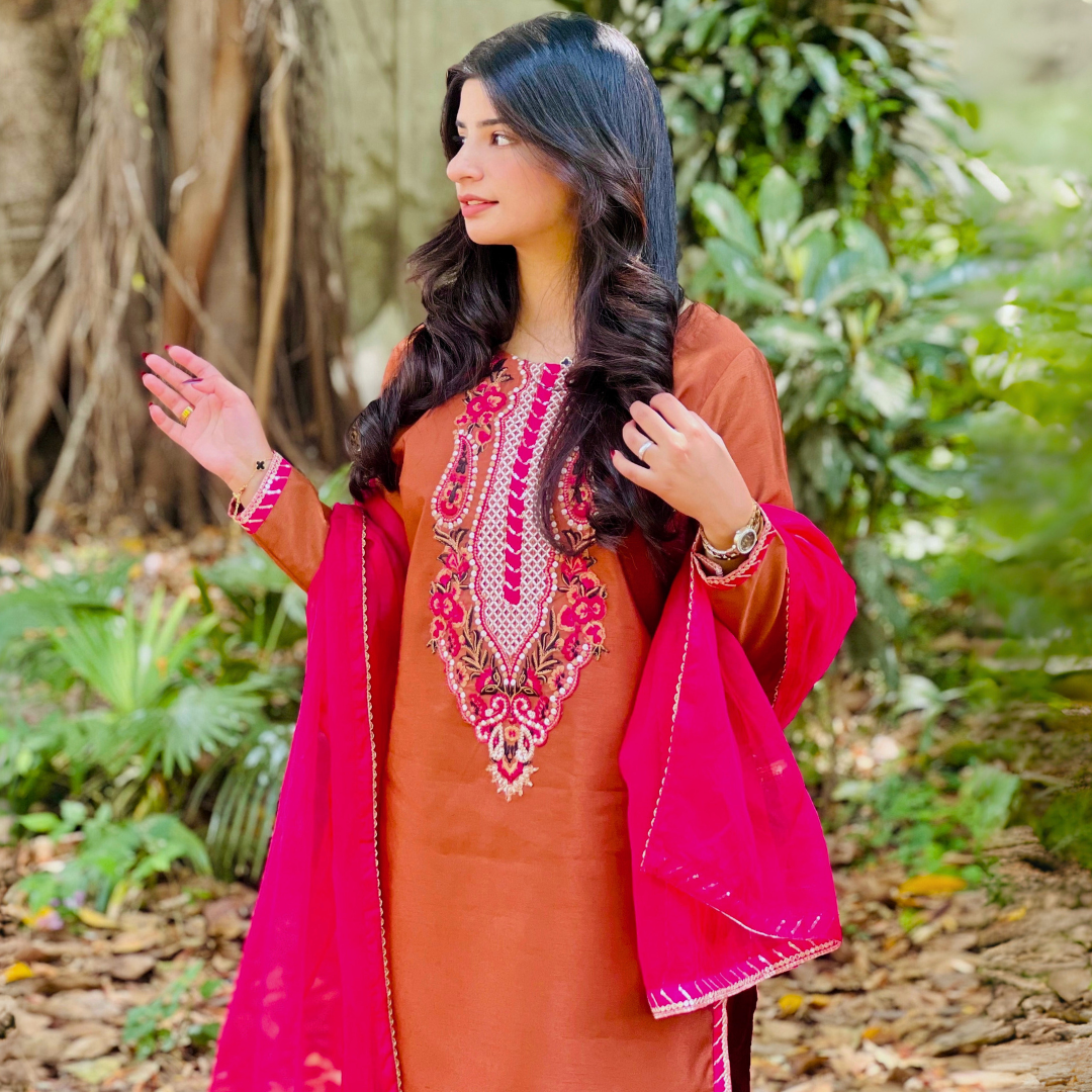 3-piece Embroidered Brown Raw Silk Dress