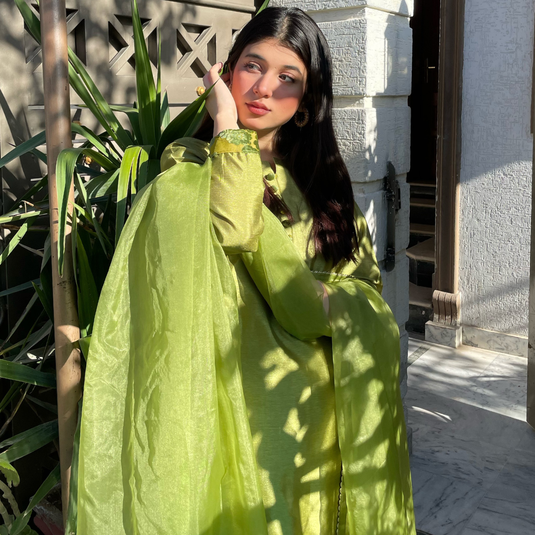 3-piece Apple Green Raw Silk Dress with Plachi Details