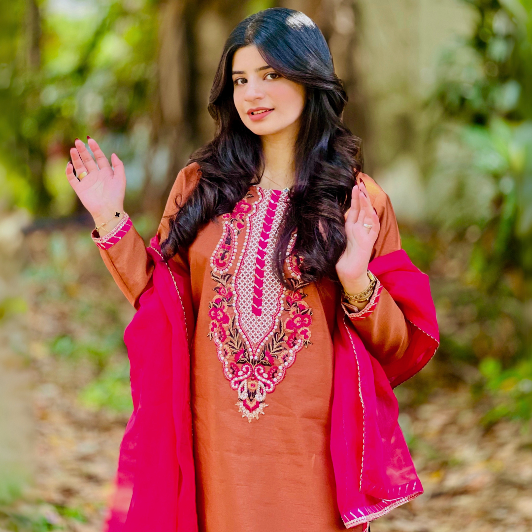 3-piece Embroidered Brown Raw Silk Dress