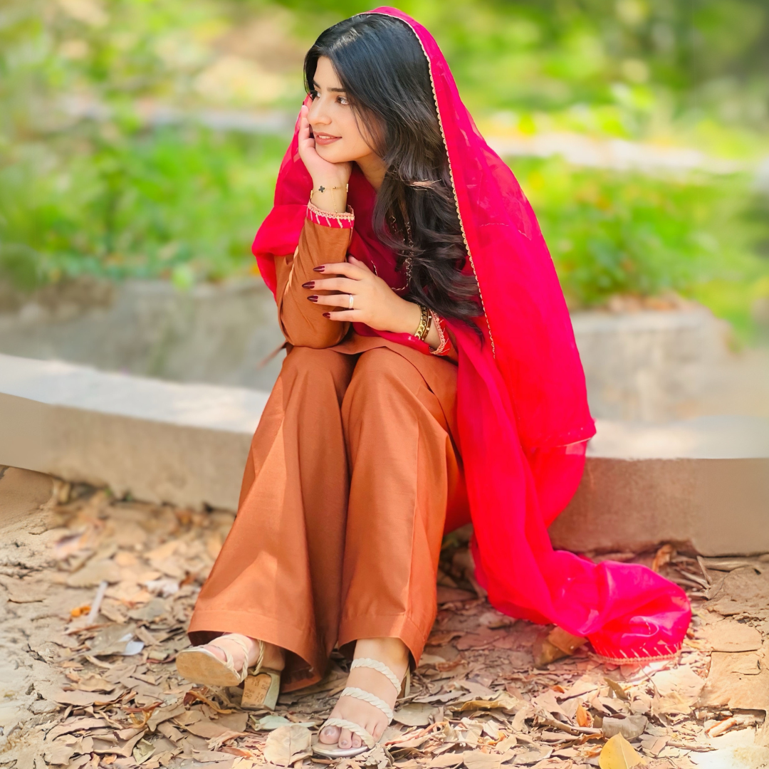 3-piece Embroidered Brown Raw Silk Dress