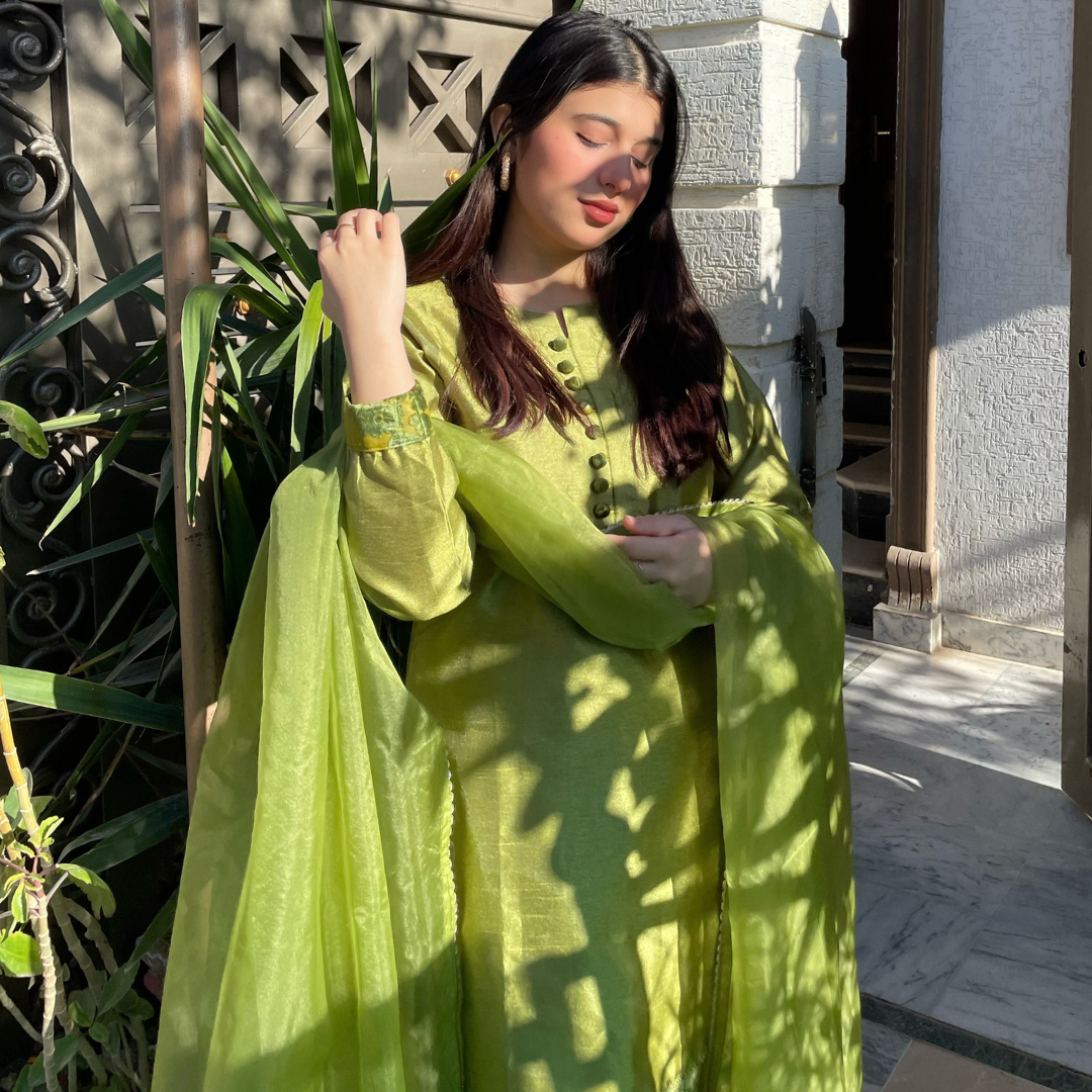 3-piece Apple Green Raw Silk Dress with Plachi Details