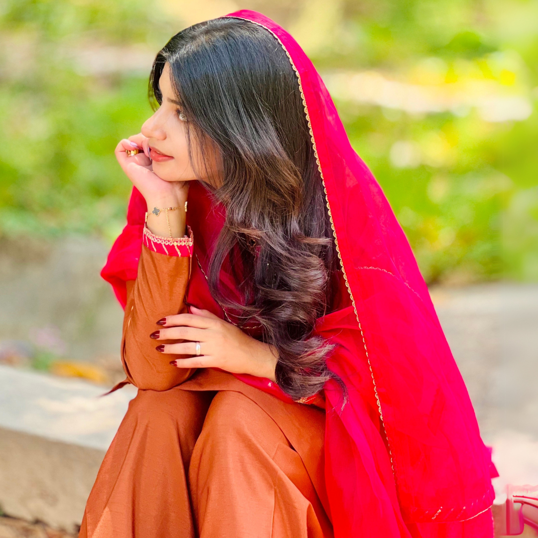 3-piece Embroidered Brown Raw Silk Dress