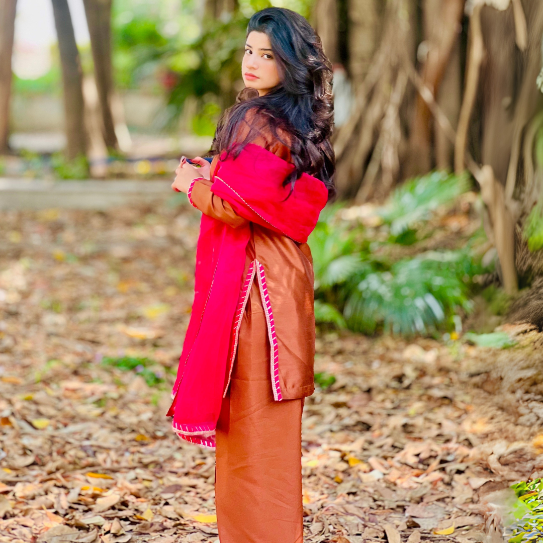 3-piece Embroidered Brown Raw Silk Dress